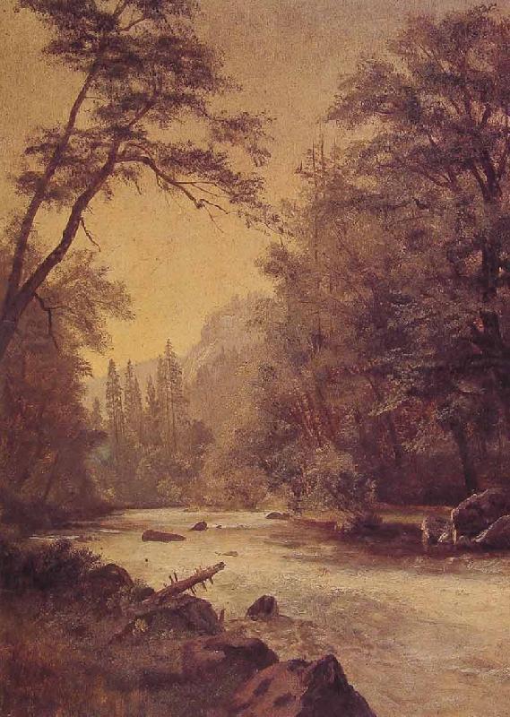 Albert Bierstadt Lower Yosemite Valley Germany oil painting art
